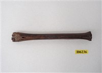藏品(鹿肢骨)的圖片